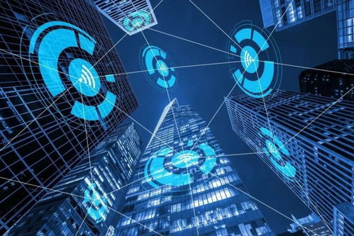 智網(wǎng)安云 東西湖企業(yè)守護(hù)中國西北網(wǎng)絡(luò)安全，引領(lǐng)網(wǎng)絡(luò)技術(shù)開發(fā)創(chuàng)新